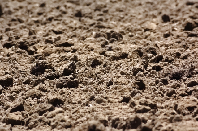土壌改良剤として注目が集まる「フルボ酸」って何？土壌中におけるフルボ酸の位置付け｜画像１