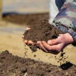 土壌中の有機物が果たす機能、生物への養分供給と土壌pH緩衝能について。