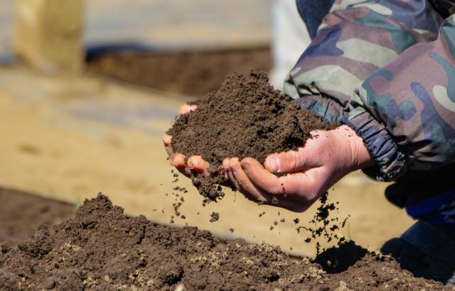 土壌中の有機物が果たす機能、生物への養分供給と土壌pH緩衝能について。