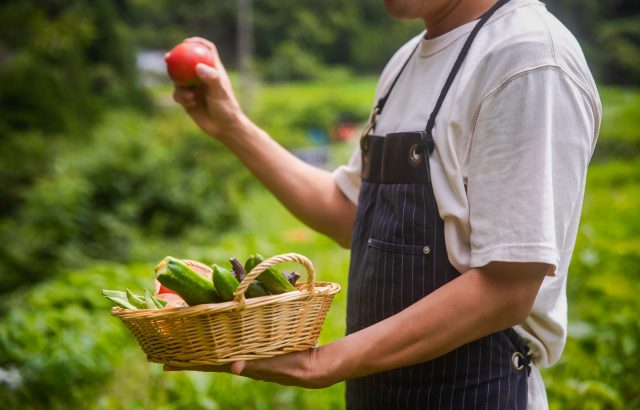 兼業農家・多業農家は増えつつある！？注目集まる兼業農家と兼業の注意点｜画像１