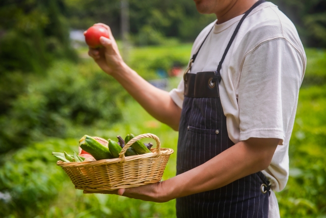 兼業農家・多業農家は増えつつある！？注目集まる兼業農家と兼業の注意点｜画像１