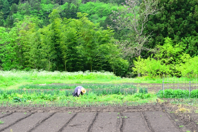 各地域の農地減少はどのくらい進んでいるのか。高齢化の現状とは。｜画像２