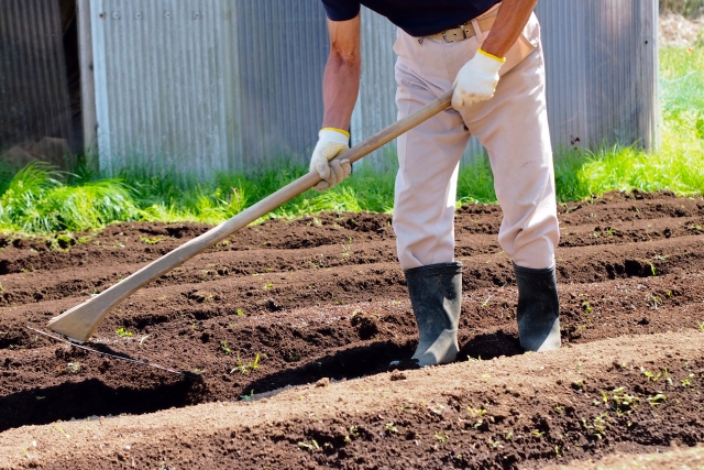 有機質肥料と堆肥の違いはなに？求める肥効で施し方を変える！｜画像２