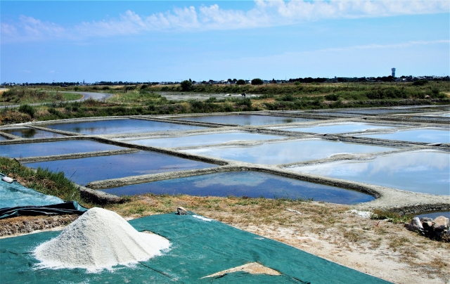 日本産食材の海外輸出に効果的！？「地理的表示（GI）」とは｜画像２