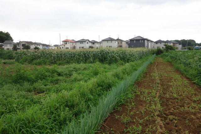 今更聞けない生産緑地制度について。その目的は？条件は？歴史的背景とともに紹介｜画像２