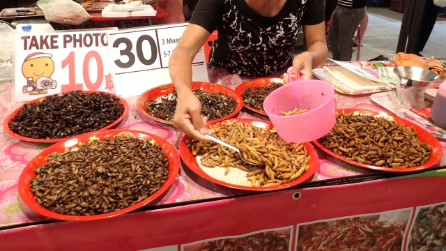 新たな産業となるのか？！世界の昆虫食の現在。｜画像３