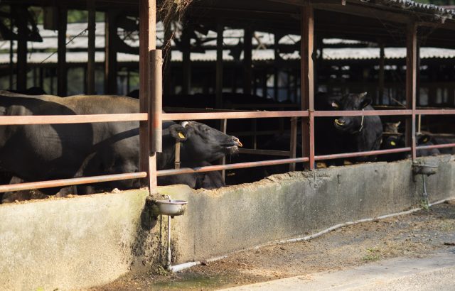 輸入肥料・飼料高騰の打破に期待高まる「耕畜連携」について