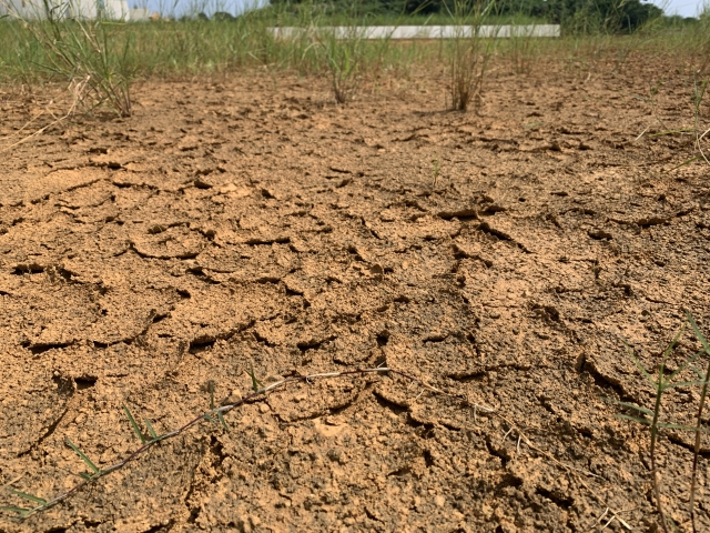 気候変動の影響で「適地」が変わる！？作物栽培への影響はすでに起きている｜画像２