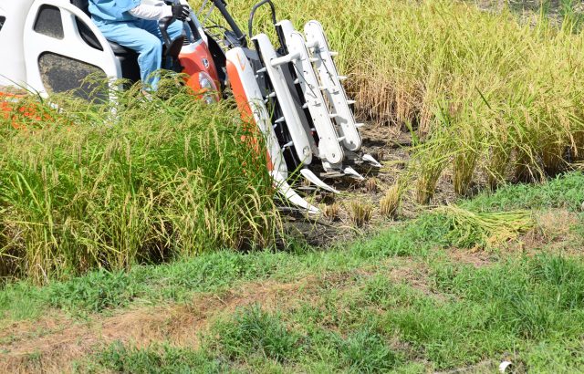 機械・施設の導入に関する「農業経営支援策」。農林水産省が公開する「農業経営支援策活用カタログ」も紹介。｜画像１