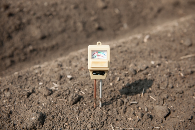 土壌酸度計で分かること。土壌酸度計を使う目的や使う際の注意点について。｜画像１