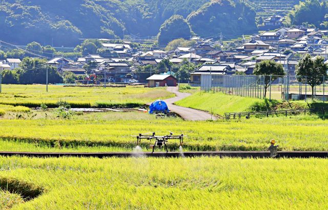 中山間地農業の新しい取り組み。「デジ活」中山間地域とは。中山間地域に求められるスマート農業。｜画像１