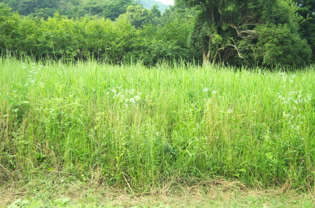 所有者不明農地とは。所有者不明農地の現状について｜画像１