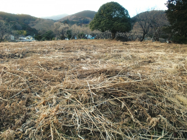 鳥獣被害を起こさないために。圃場周辺の環境を見直すススメ｜画像２