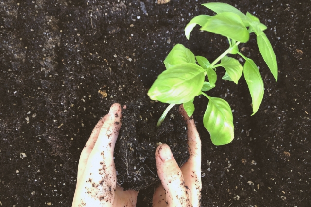 バイオロジカルファーミング（Biological Farming、生態調和型農業）とは何か。｜画像３