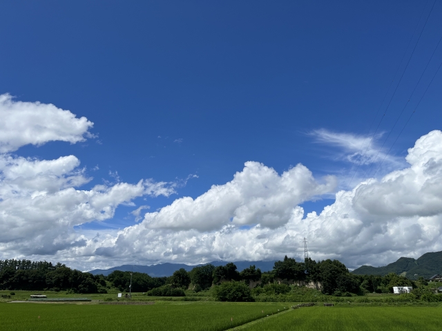 気象の影響を理解する。気象情報を活かした農業の取り組みとは。｜画像３