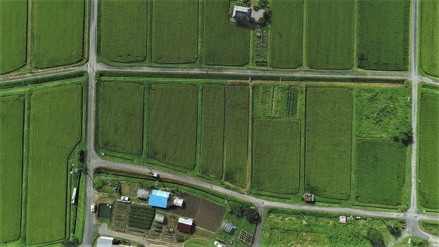 農作業の“見える化”でコスト削減！圃場記録アプリの活用術