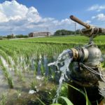 今さら聞けない灌水の基本。自動化の最新事情も。水のやりすぎを防ぐ技術とは｜画像１