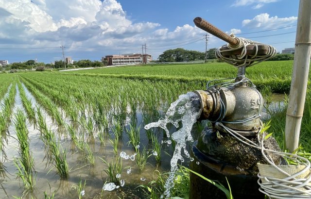 今さら聞けない灌水の基本。自動化の最新事情も。水のやりすぎを防ぐ技術とは