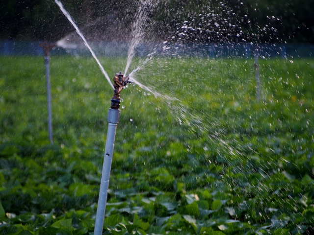今さら聞けない灌水の基本。自動化の最新事情も。水のやりすぎを防ぐ技術とは｜画像２