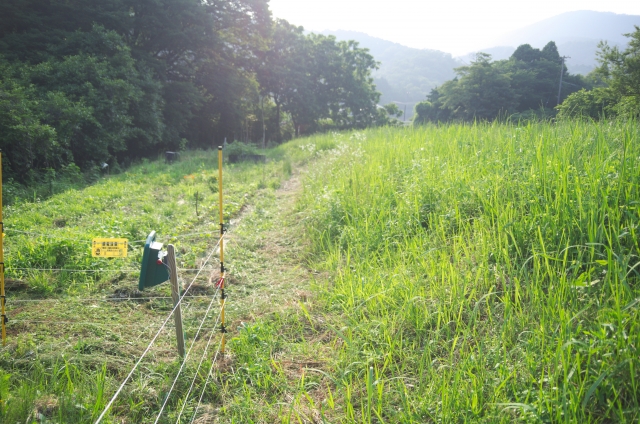 鳥獣害対策における“緩衝帯”の重要性とは。持続可能な防除について｜画像２