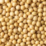 大豆油・菜種油の世界的な需要の現状とは。｜画像１