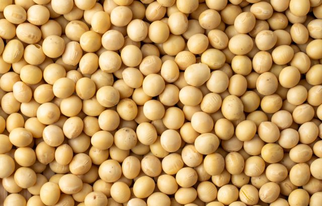 大豆油・菜種油の世界的な需要の現状とは。