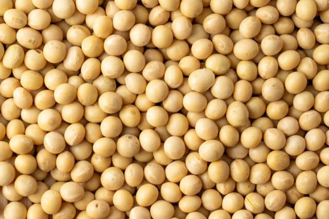 大豆油・菜種油の世界的な需要の現状とは。|画像1