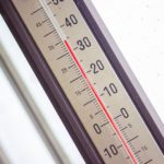 害虫の発生予測に使える「積算温度」の活用法｜画像１