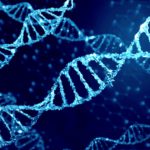 遺伝子組換え技術の今。研究成果や農業の未来との関係性について。｜画像１