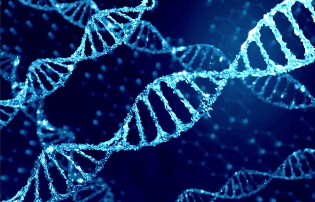 遺伝子組換え技術の今。研究成果や農業の未来との関係性について。