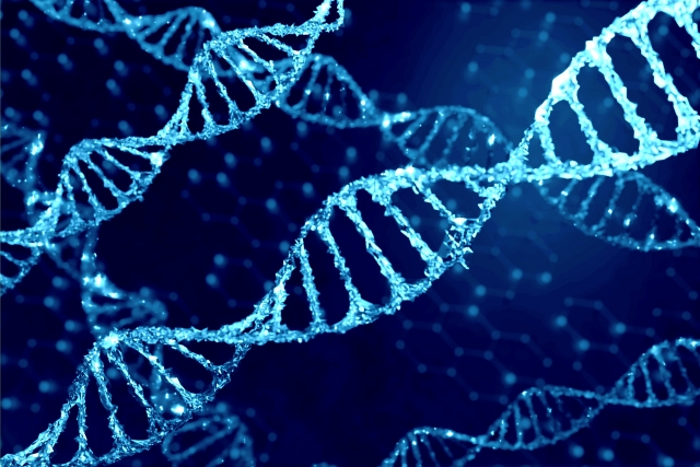 遺伝子組換え技術の今。研究成果や農業の未来との関係性について。｜画像１