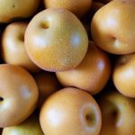 地域特産品を海外へ。農産物輸出の成功事例からの学び。｜画像１