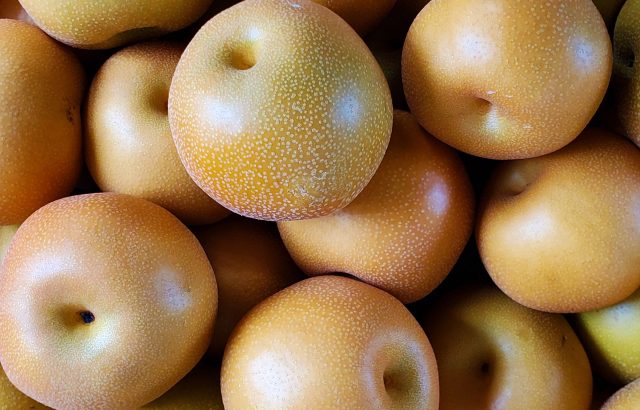 地域特産品を海外へ。農産物輸出の成功事例からの学び。