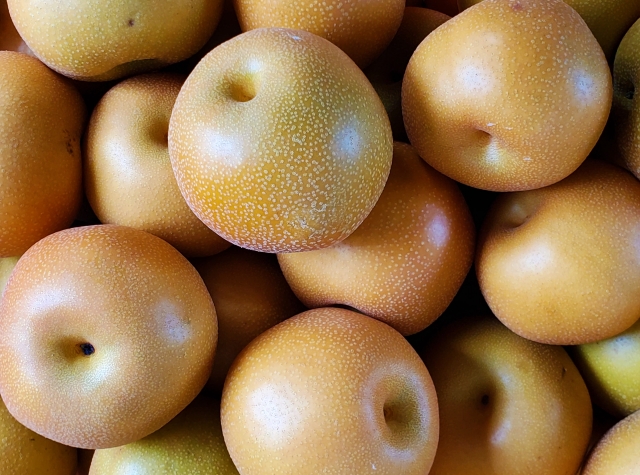 地域特産品を海外へ。農産物輸出の成功事例からの学び。｜画像１