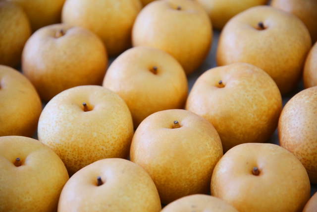 地域特産品を海外へ。農産物輸出の成功事例からの学び。｜画像４