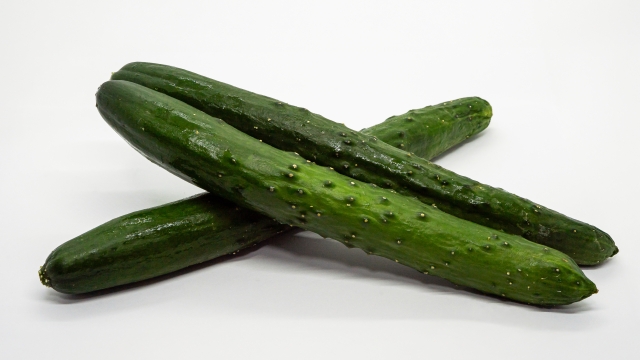 最新の長期保存技術について。鮮度を武器にする戦略とは。｜画像３