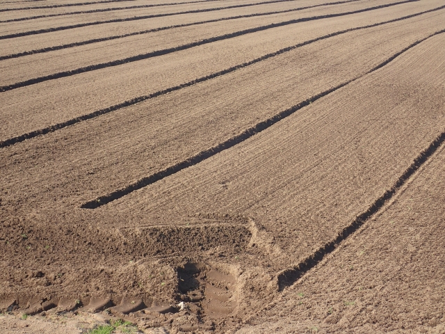 今一度理解しておきたい、スマート農機の導入コストとその効果。｜画像３