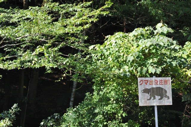 遭遇・襲われたらどうする？農作業者・里山利用者のためのクマ安全ガイド｜画像２