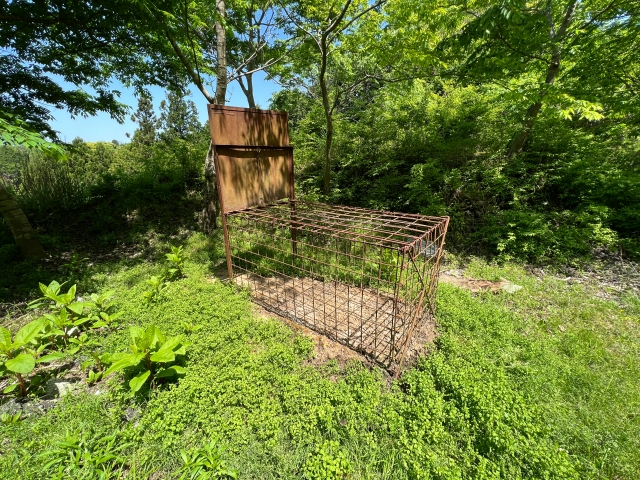 遭遇・襲われたらどうする？農作業者・里山利用者のためのクマ安全ガイド｜画像４