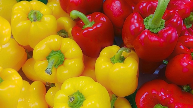 高需要作物で稼ぐ。パプリカの広がる需給ギャップと国産化への挑戦｜画像３