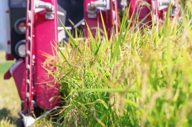 世界の食料需給のギャップと日本の農業課題｜画像４