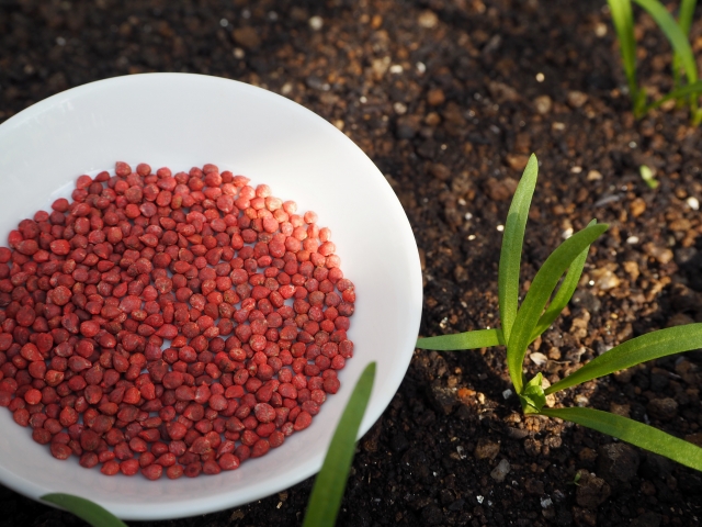 野菜のタネの安定供給が揺らいでいる！？タネの「輸入」が止まった場合のリスクとは｜画像４