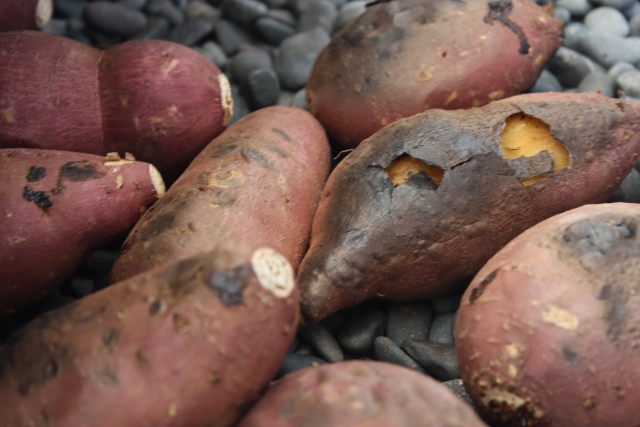 世界で広がる「焼き芋」ブーム。日本産サツマイモが注目される理由｜画像３