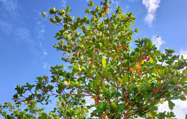 農業への投資事例から学ぶ、効率化と収益性向上のヒント