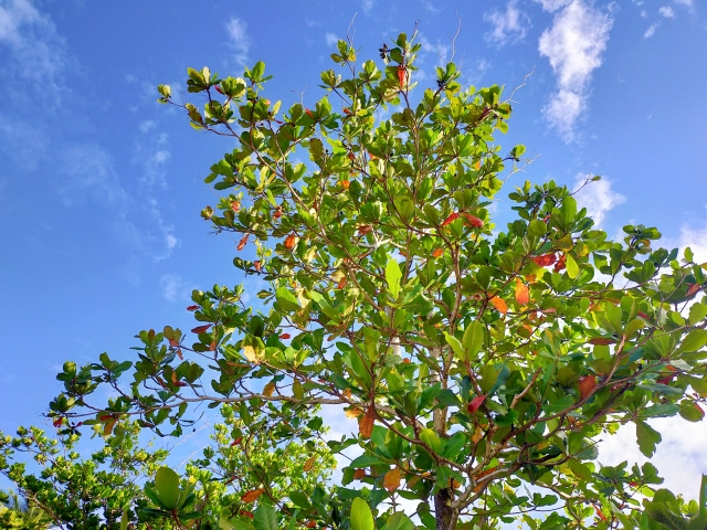 農業への投資事例から学ぶ、効率化と収益性向上のヒント｜画像１