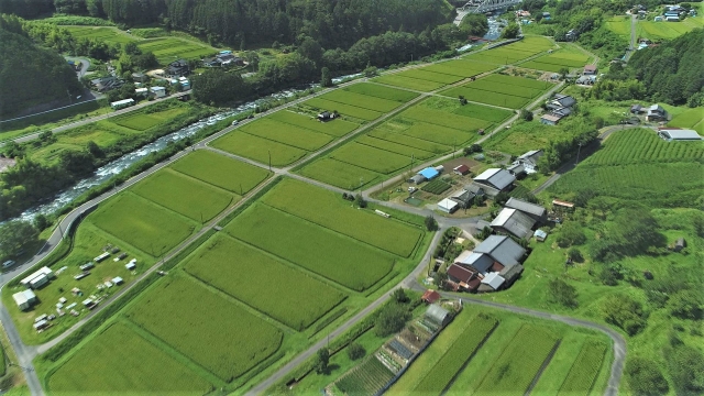 農業への投資事例から学ぶ、効率化と収益性向上のヒント｜画像３