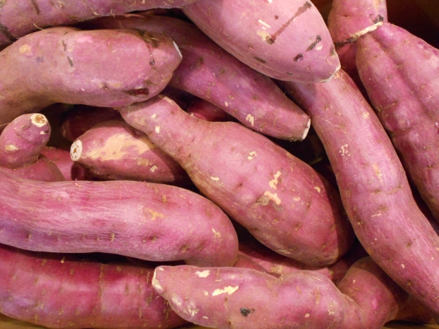 サツマイモの品質を守る「キュアリング処理」徹底解説｜効果・手順・ポイント｜画像１