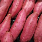 サツマイモの品質を守る「キュアリング処理」徹底解説｜効果・手順・ポイント｜画像３