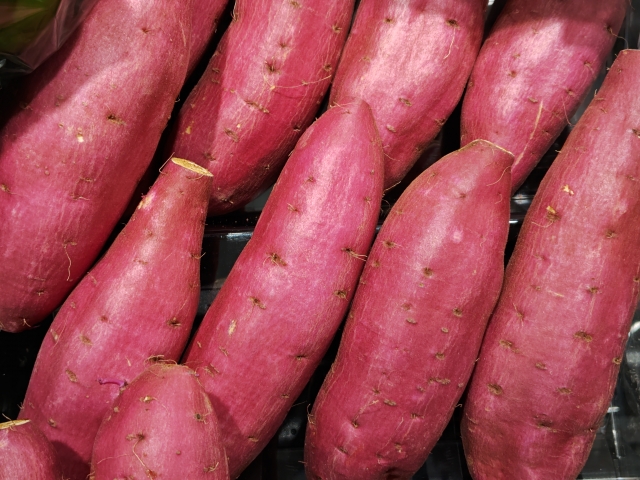 サツマイモの品質を守る「キュアリング処理」徹底解説｜効果・手順・ポイント｜画像３