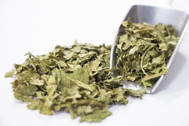 農業ビジネスの一案としての「桑茶」。 桑栽培から加工・販売まで、モデルケースに学ぶ。｜画像１